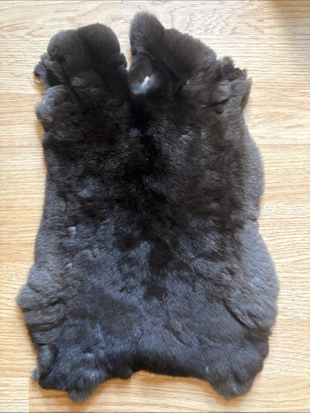 B0190 Rex rabbit hide